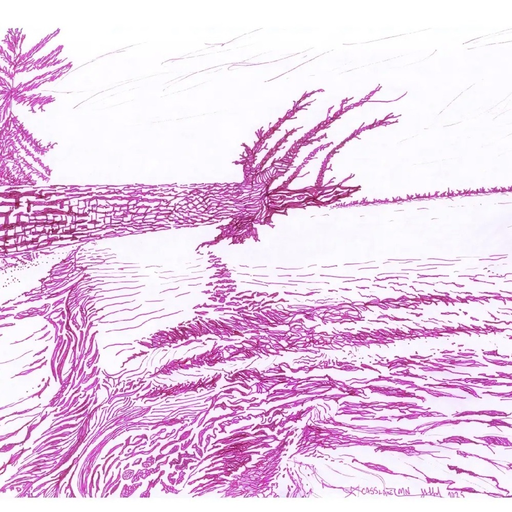 Artist - Picture 3 of 4